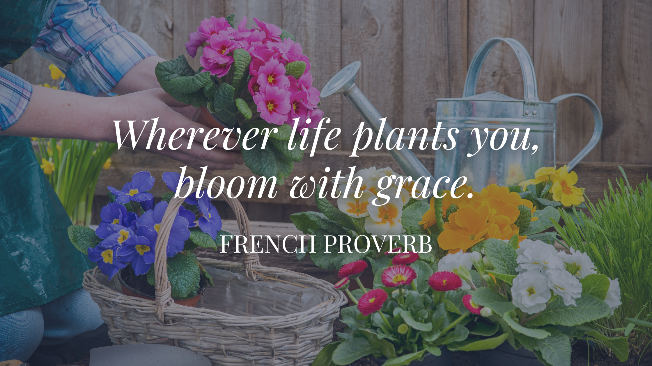 Bloom Where You Are Planted