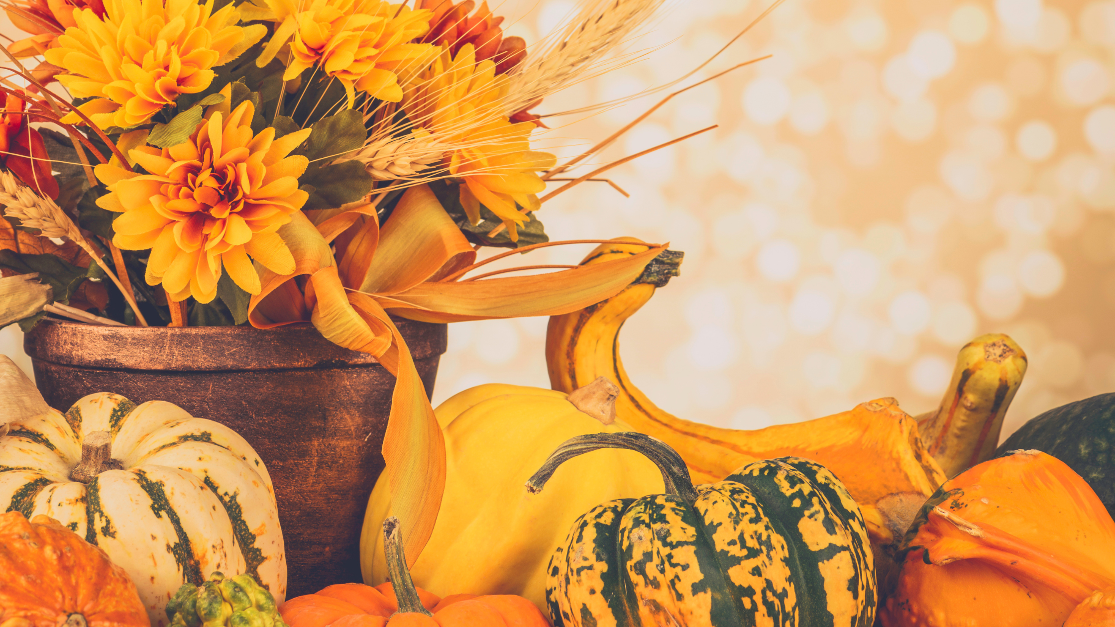 November: The Month of Gratitude