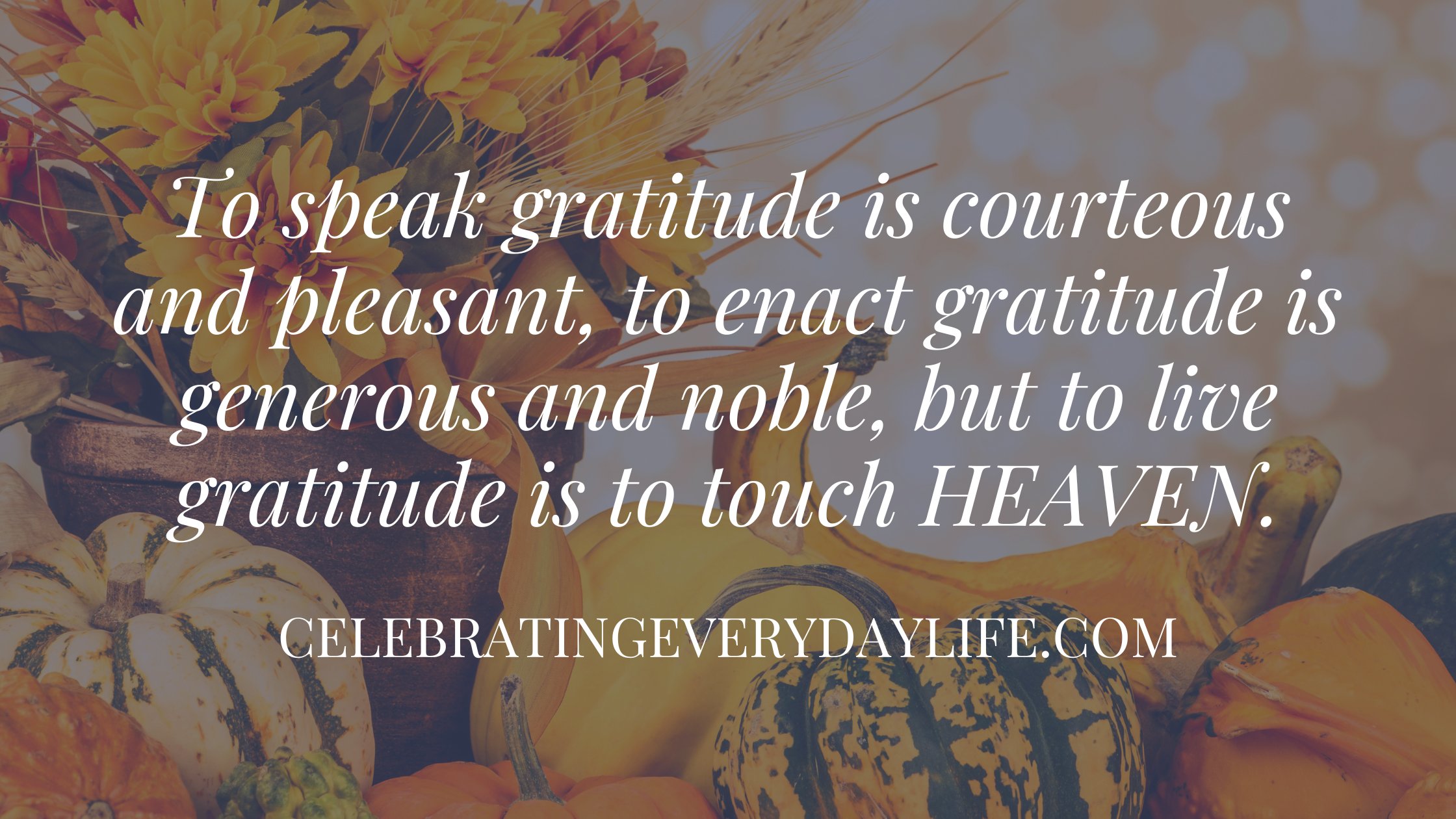 November: The Month of Gratitude