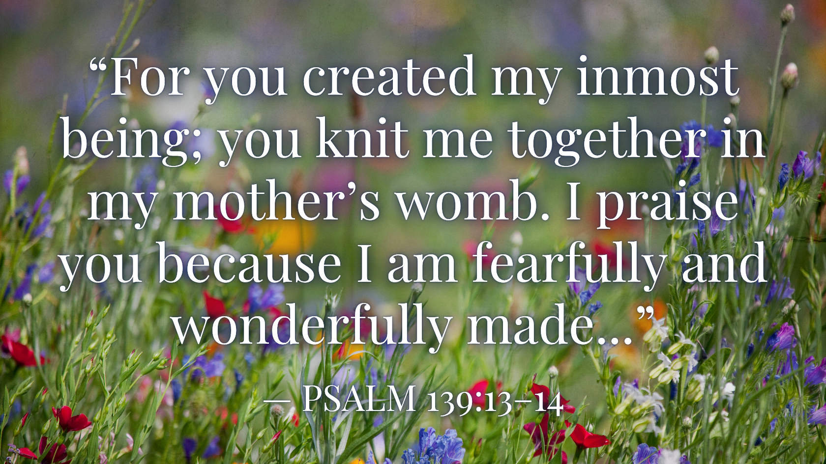 If You Were a Flower…